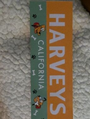 Harveys Orange & Green Disney Pluto Strap with Bold HARVEYS Logo